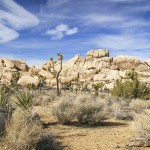 Mehr Kunden - Mehr Interessenten - Mehr Aufträge - GITFL Marketing by Peer Fink - Was tun wir für Sie